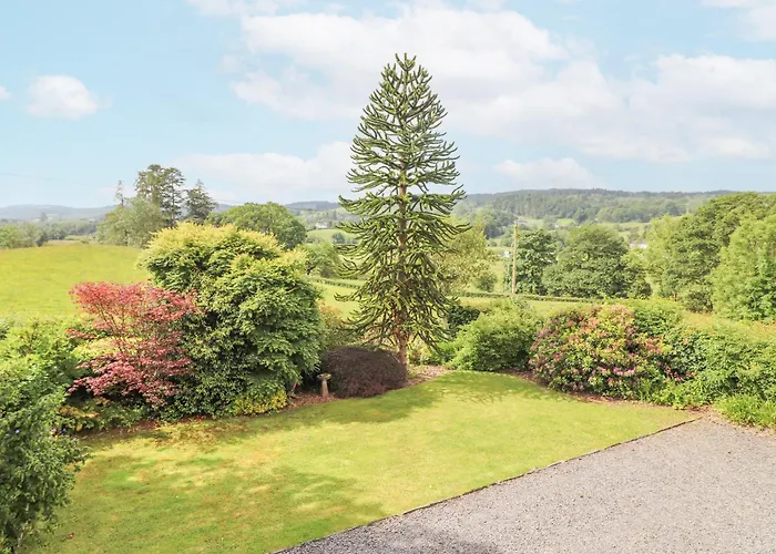 Grassings * 安布尔塞德