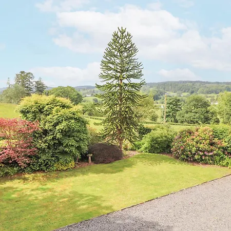 Grassings * 安布尔塞德